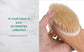 Natural Boar Bristle Bath and Body Massage Brush